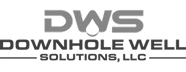dws-logo
